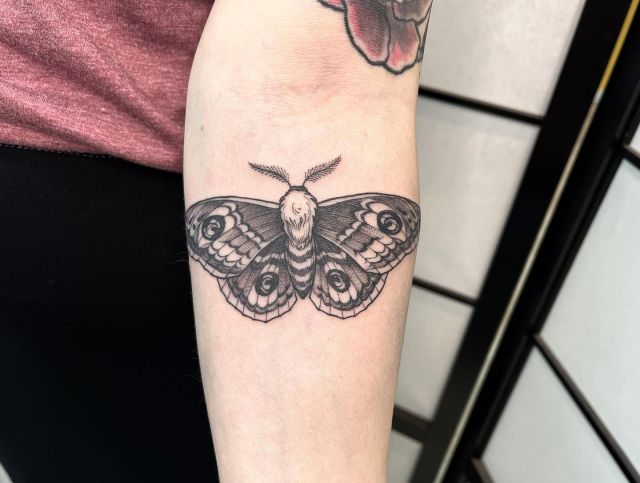 Merci Emy pour ta confiance ✨

Fait à @lepicerietattoo 📍

Contact 💌 dumanotattoo@gmail.com

#tattoo #tattooist #tattoobordeaux #engraverstattoo #engravingtattoo #animaltattoo #botanicaltattoo #tattoolovers #tattoos #inked #butterfly #butterflytattoo #bordeauxtattoo